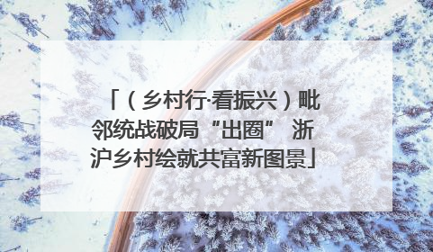 （乡村行·看振兴）毗邻统战破局“出圈” 浙沪乡村绘就共富新图景