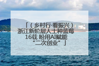 （乡村行·看振兴）浙江新阶层人士种蓝莓16载 盼用AI赋能“二次创业”