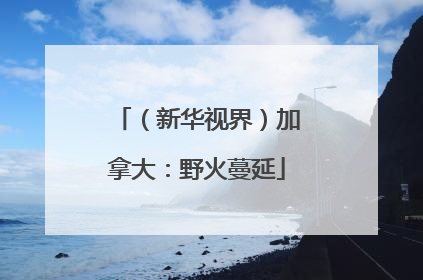 （新华视界）加拿大：野火蔓延