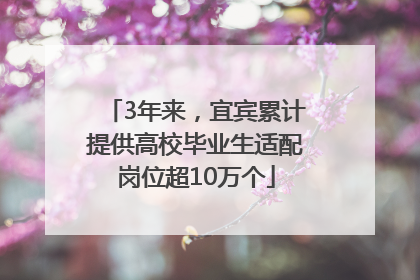 3年来，宜宾累计提供高校毕业生适配岗位超10万个