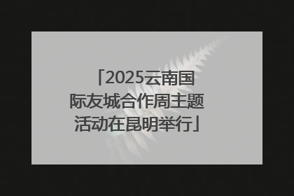 2025云南国际友城合作周主题活动在昆明举行