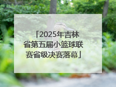 2025年吉林省第五届小篮球联赛省级决赛落幕