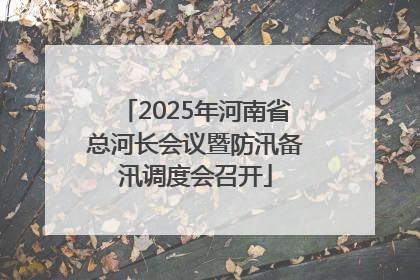 2025年河南省总河长会议暨防汛备汛调度会召开