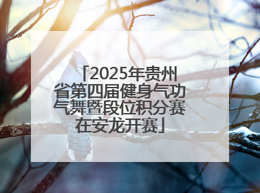 2025年贵州省第四届健身气功气舞暨段位积分赛在安龙开赛