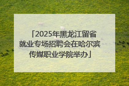 2025年黑龙江留省就业专场招聘会在哈尔滨传媒职业学院举办