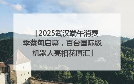 2025武汉端午消费季蔡甸启幕，百台国际级机器人亮相花博汇