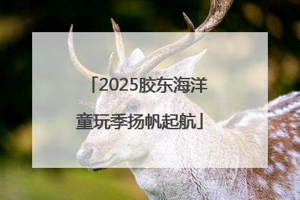 2025胶东海洋童玩季扬帆起航