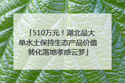 510万元！湖北最大单水土保持生态产品价值转化落地孝感云梦