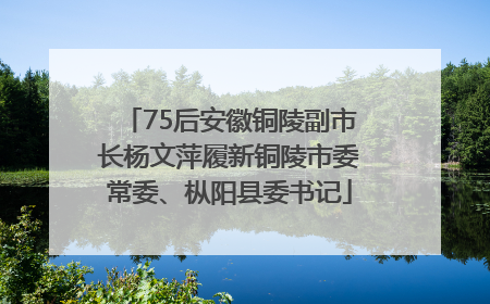 75后安徽铜陵副市长杨文萍履新铜陵市委常委、枞阳县委书记