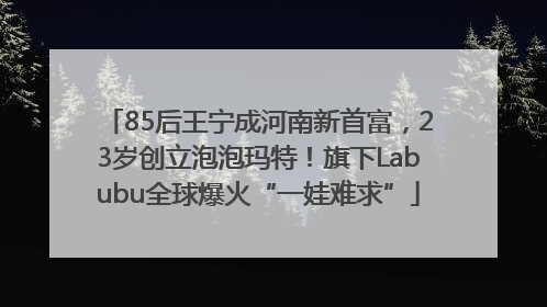 85后王宁成河南新首富，23岁创立泡泡玛特！旗下Labubu全球爆火“一娃难求”