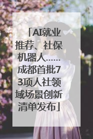 AI就业推荐、社保机器人……成都首批73项人社领域场景创新清单发布