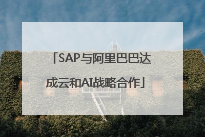 SAP与阿里巴巴达成云和AI战略合作