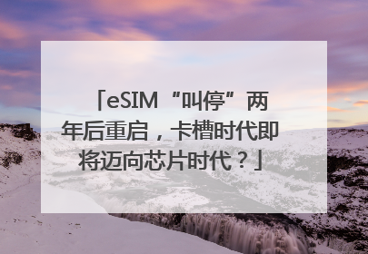 eSIM“叫停”两年后重启，卡槽时代即将迈向芯片时代？